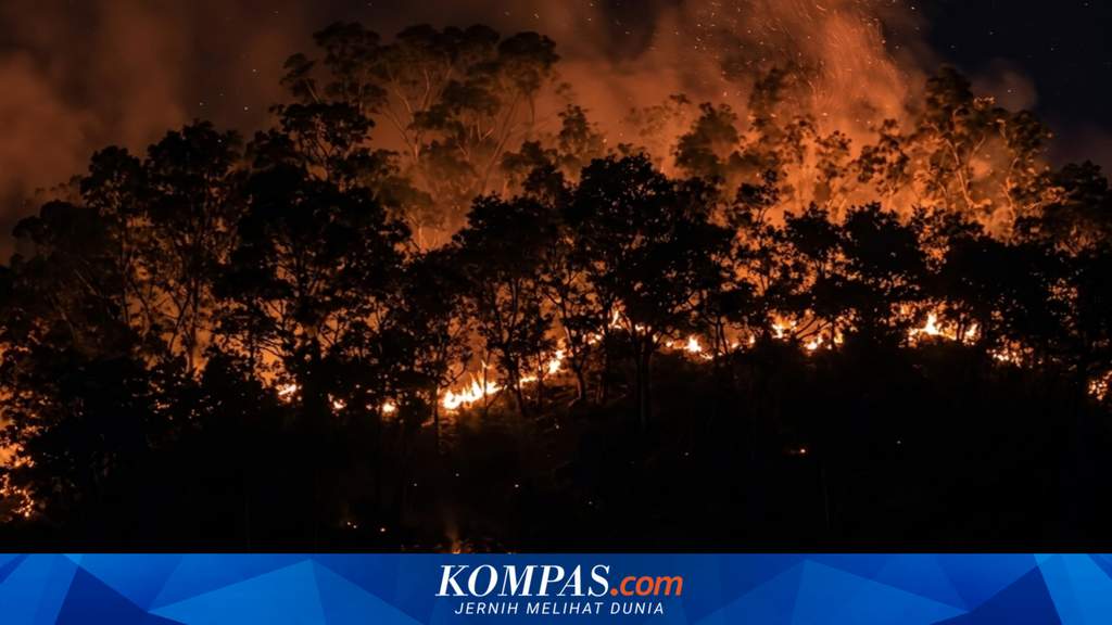 Petugas gabungan TNI, Polri, dan Damkar bersinergi memadamkan kebakaran lahan di kawasan perbukitan Sorong Utara.